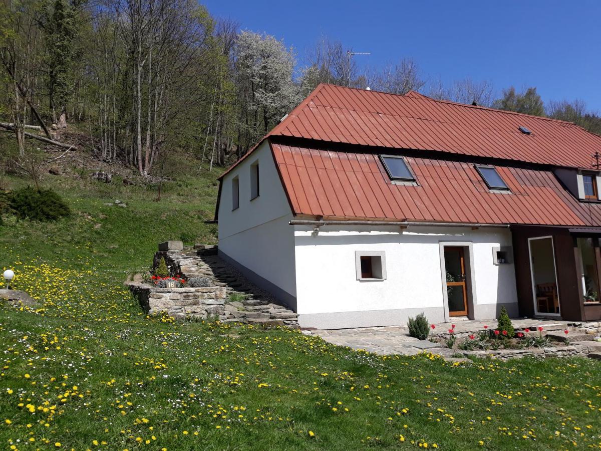 Pokoje Gościnne Thank You Life, Apartament 2 Forest For Rest Bystrzyca Kłodzka Extérieur photo